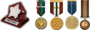 Obrazy artykułów: trophy_medals.png